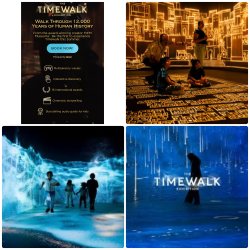 The Timewalk Exhibition - An Immersive Journey Through Civilisations Group visit