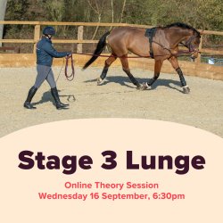 BHS Stage 3 Lunge Theory