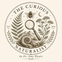 A nature-inspired logo for The Curious Naturalist by Dr. Amy Wyatt. It shows a vintage-style circle design with a bee, plants, flowers, a fossil, mountains and a magnifying glass.