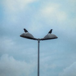 Towards a Radical Centre: What does it mean to be together now? | Jo Berry, Elizabeth Oldfield, Ali Amla, Sean Ryan