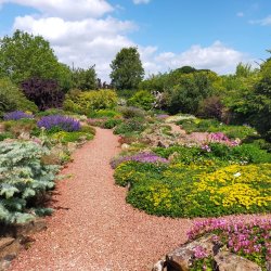 Rock Garden