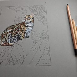 Wildlife In Pastel