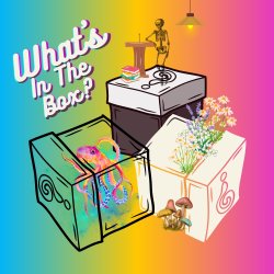 What's in the Box | Comedy Improv Show