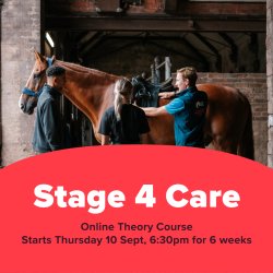 BHS Stage 4 Care Theory Course