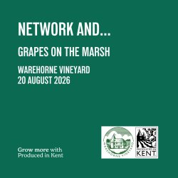 NETWORK AND... Grapes on the Marsh