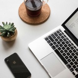 A laptop, mobile phone, small plant and a cup of coffee on a desk