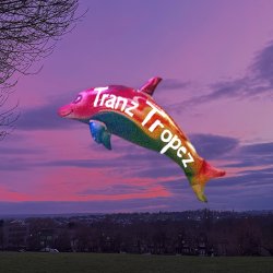 STST Film Club | Queeriosities x Tranz Tropez