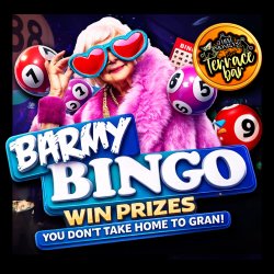 Barmy Bingo Logo