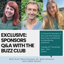 Exclusive: Sponsors Q and A