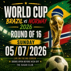 World Cup - Brazil vs Norway - Round of 16