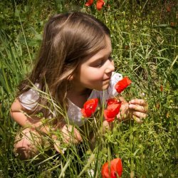 LITTLE GIRL SMELLING POPPY FLOWER