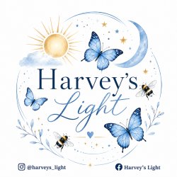 PAINT AND SIP FUNDRAISER - HARVEY'S LIGHT