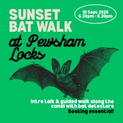 Sunset bat walk at Pewsham Locks