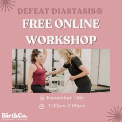 VIRTUAL Defeat Diastasis: Core + Pelvic Floor Workshop