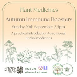 Plant Medicines: Autumn Immune Boosters