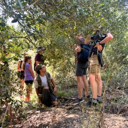 Truffle Hunting, Cooking Class & Gourmet Lunch in Rome's Countryside