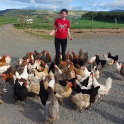 Poultry Keeping Course