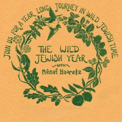 The Wild Jewish Year 2025-6
