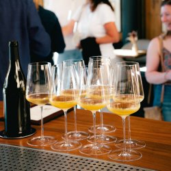 Monthly Members Social - August