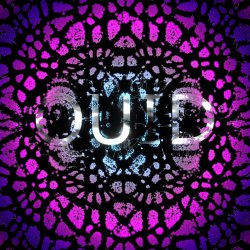 Array Ensemble: Quid [IN PERSON]