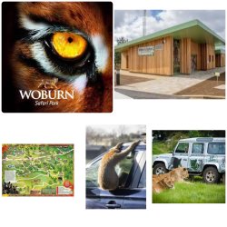 Woburn safari park with sense classroom hire