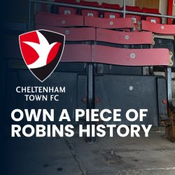 Own a Piece of Robins History