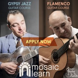 Mosaic Learn
