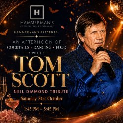 Hammerman's Presents: An Afternoon With Neil Diamond