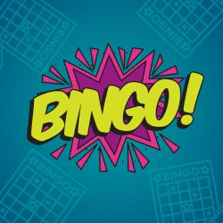 Bingo Night