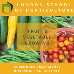 Low-maintenance Fruit & Vegetable growing - seasonal workshop