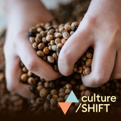 Two hands grasp handfuls of seedpods. The culture/SHIFT logo: a blue triangle orientated upwards balanced upon an orange triangle pointed downwards.