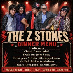 The Z Stones- The Rolling Stones