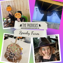 High Farm Spooky Farm