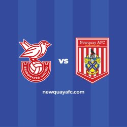 Newquay AFC Away Travel — Bridgwater United FC