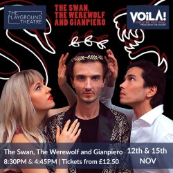 The Swan, the Werewolf and Gianpiero - Voila! Festival 2026