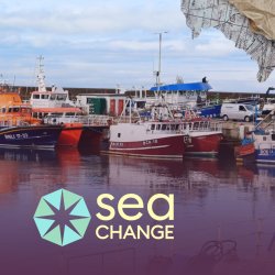 Harbor scene with colorful fishing boats docked. Text reading “Sea Change” overlays the water.