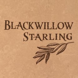 Blackwillow Starling