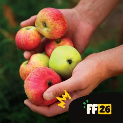 Growhampton: Meet our Old Orchard & Apple Harvest