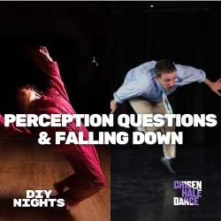 DIY Nights - Perception Questions & Falling Down