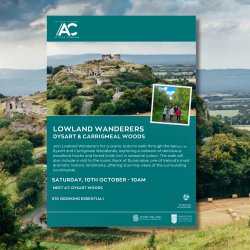 Lowland Wanderers - Dysart & Carrigmeal Woods