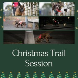 Christmas Trail Session Killingworth