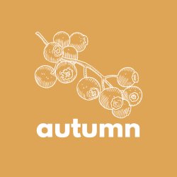 Noticing Nature at The Wilson – Autumn Sessions