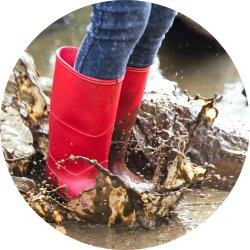 Chef on the Farm Programme, Adopt a School Trust