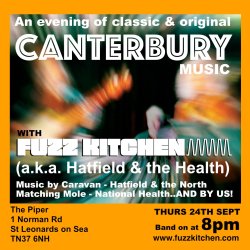 Fuzz Kitchen (a.k.a. Hatfield and the Health) by the sea