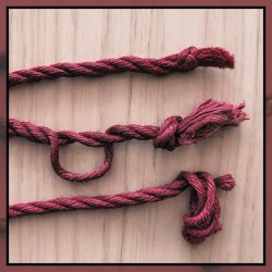 Rope Care and Maintenance Workshop
