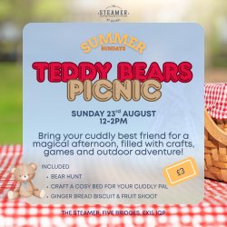 Teddy Bears Picnic