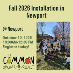 Fall 2026 Orchard Installation In Newport