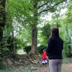3 Week Nature Writing Workshop