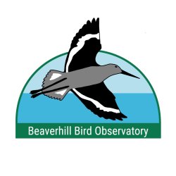 Extracting Workshop at Beaverhill Bird Observatory (2026) (access code required)