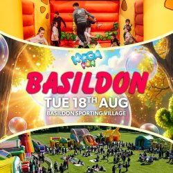 ☀️ Basildon Mega Fun Day - Tues 18th Aug ☀️